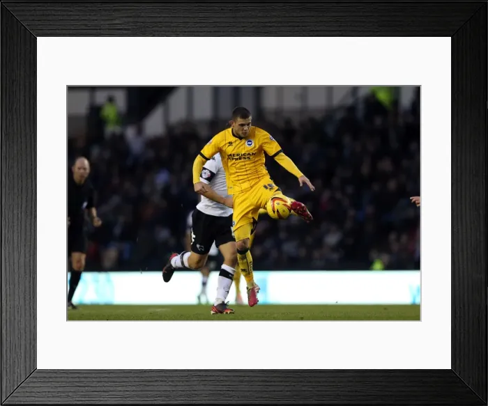 Framed Print : Brighton & Hove Albion vs. Derby County - January 18, 2014: Away Game, 2013-14 Season Framed Print : Brighton & Hove Albion vs. Derby County - January 18, 2014: Away Game, 2013-14 Season