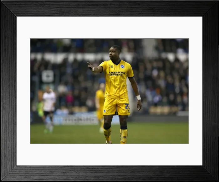 Framed Print : Brighton & Hove Albion vs. Derby County - January 18, 2014 (Away Game) Framed Print : Brighton & Hove Albion vs. Derby County - January 18, 2014 (Away Game)