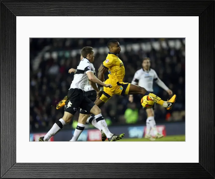 Framed Print : Brighton & Hove Albion vs. Derby County - January 18, 2014: Away Game, 2013-14 Season Framed Print : Brighton & Hove Albion vs. Derby County - January 18, 2014: Away Game, 2013-14 Season