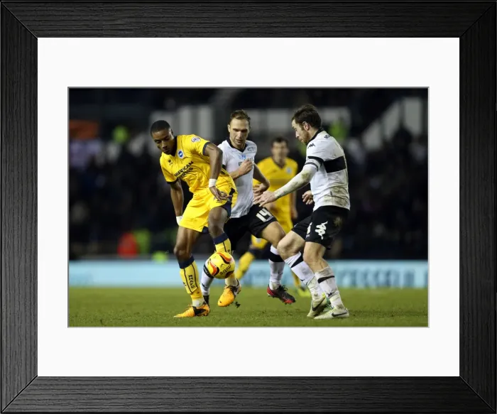 Framed Print : Brighton & Hove Albion vs. Derby County (Away Game - January 18, 2014)