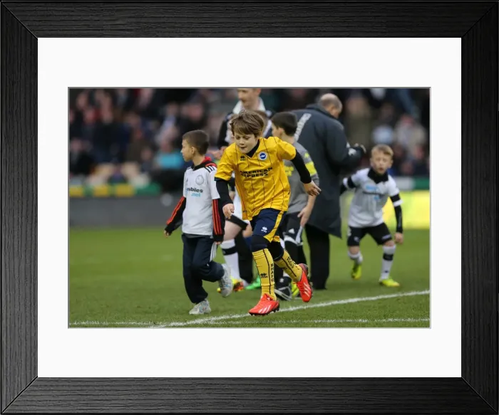 Framed Print : Brighton & Hove Albion vs. Derby County (Away Game - January 18, 2014)