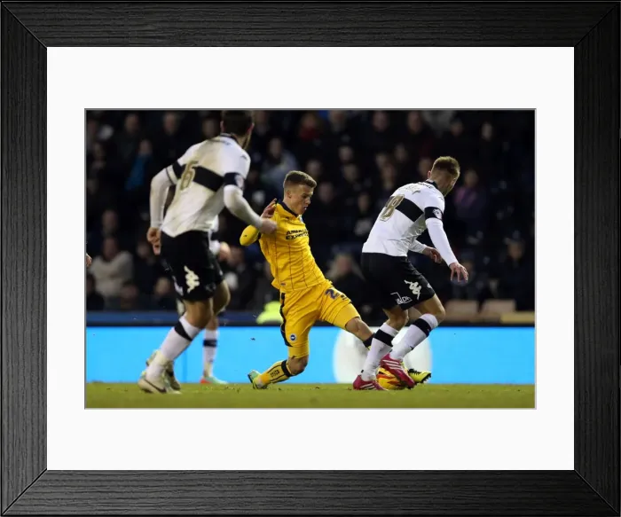 Framed Print : Brighton & Hove Albion vs. Derby County (Away Game - January 18, 2014) Framed Print : Brighton & Hove Albion vs. Derby County (Away Game - January 18, 2014)
