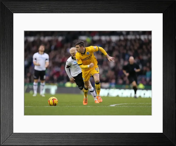 Framed Print : Brighton & Hove Albion vs. Derby County (Away Game - January 18, 2014) Framed Print : Brighton & Hove Albion vs. Derby County (Away Game - January 18, 2014)