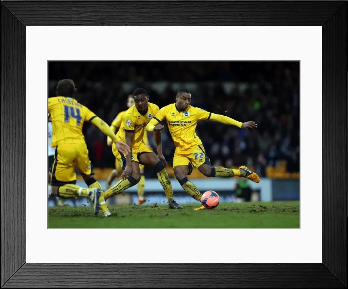 Framed Print : Brighton & Hove Albion vs Port Vale (FA Cup, 2013-14: Away Game, 25-01-2014) Framed Print : Brighton & Hove Albion vs Port Vale (FA Cup, 2013-14: Away Game, 25-01-2014)