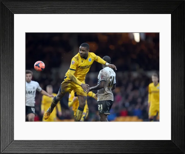 Framed Print : Brighton & Hove Albion vs Port Vale (FA Cup, 25-01-2014) Framed Print : Brighton & Hove Albion vs Port Vale (FA Cup, 25-01-2014)