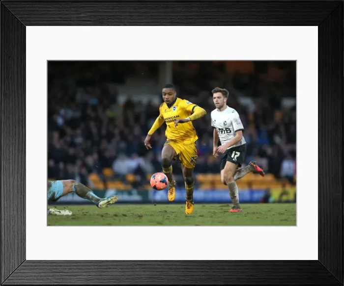 Framed Print : Brighton & Hove Albion vs Port Vale (FA Cup, 2014) Framed Print : Brighton & Hove Albion vs Port Vale (FA Cup, 2014)
