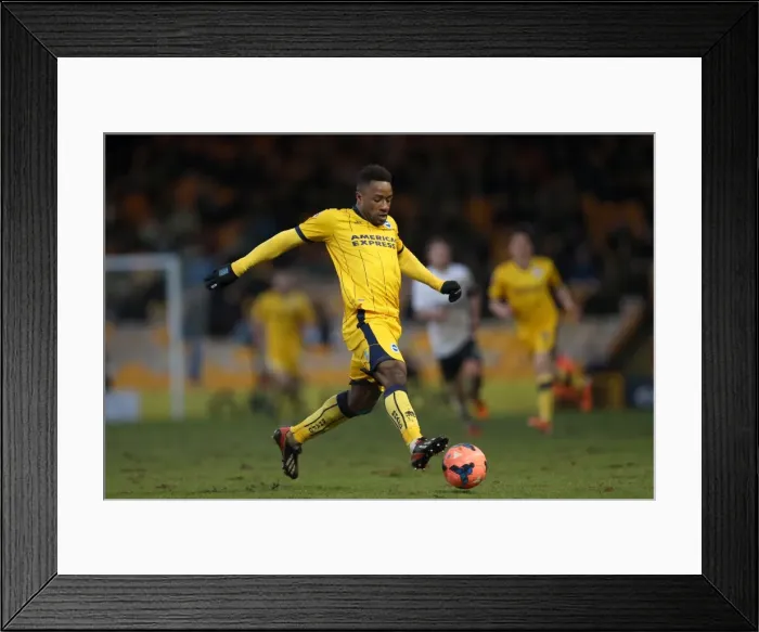 Framed Print : Brighton & Hove Albion vs Port Vale (FA Cup, 25-01-2014) Framed Print : Brighton & Hove Albion vs Port Vale (FA Cup, 25-01-2014)