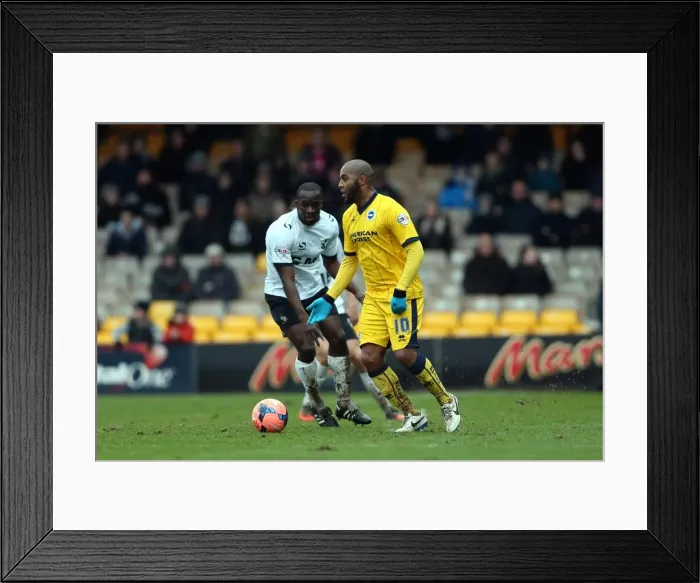 Framed Print : Brighton & Hove Albion vs Port Vale (FA Cup, 25-01-2014) Framed Print : Brighton & Hove Albion vs Port Vale (FA Cup, 25-01-2014)
