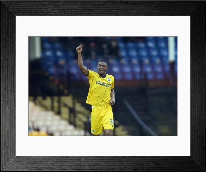 Framed Print : Brighton & Hove Albion vs Port Vale (FA Cup, 2013-14: Away Game, 25-01-2014) Framed Print : Brighton & Hove Albion vs Port Vale (FA Cup, 2013-14: Away Game, 25-01-2014)