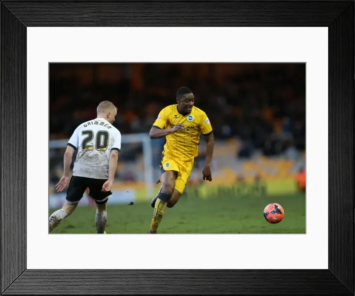 Framed Print : Brighton & Hove Albion vs Port Vale (FA Cup, 25-01-2014) Framed Print : Brighton & Hove Albion vs Port Vale (FA Cup, 25-01-2014)