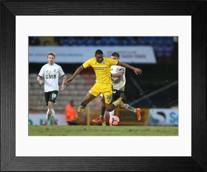 Framed Print : Brighton & Hove Albion vs Port Vale (FA Cup, 25-01-2014) Framed Print : Brighton & Hove Albion vs Port Vale (FA Cup, 25-01-2014)
