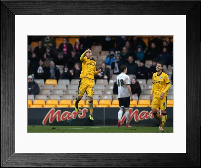 Framed Print : Brighton & Hove Albion vs Port Vale (FA Cup, 25-01-2014) Framed Print : Brighton & Hove Albion vs Port Vale (FA Cup, 25-01-2014)