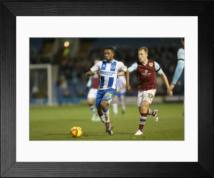 Framed Print : Brighton & Hove Albion vs. Burnley - 28-01-2014: Away Game, 2013-14 Season Framed Print : Brighton & Hove Albion vs. Burnley - 28-01-2014: Away Game, 2013-14 Season