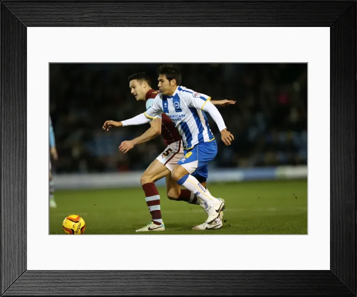 Framed Print : Brighton & Hove Albion vs. Burnley - 28-01-2014: Away Game, 2013-14 Season Framed Print : Brighton & Hove Albion vs. Burnley - 28-01-2014: Away Game, 2013-14 Season
