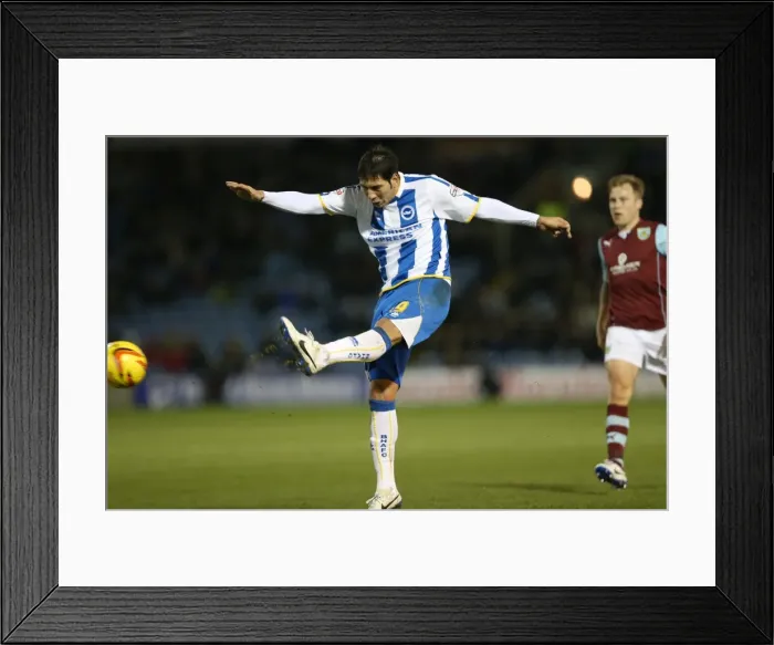 Framed Print : Brighton & Hove Albion vs. Burnley - 28-01-2014: Away Game, 2013-14 Season Framed Print : Brighton & Hove Albion vs. Burnley - 28-01-2014: Away Game, 2013-14 Season