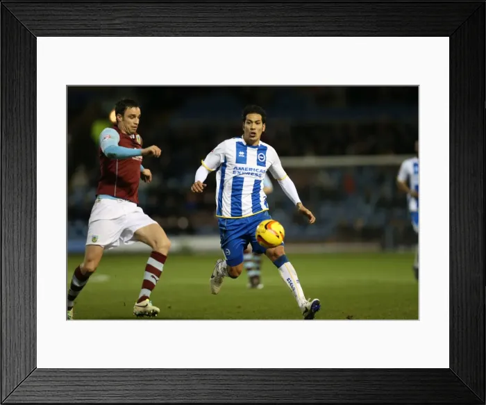 Framed Print : Brighton & Hove Albion vs. Burnley - Away Game (28-01-2014) Framed Print : Brighton & Hove Albion vs. Burnley - Away Game (28-01-2014)