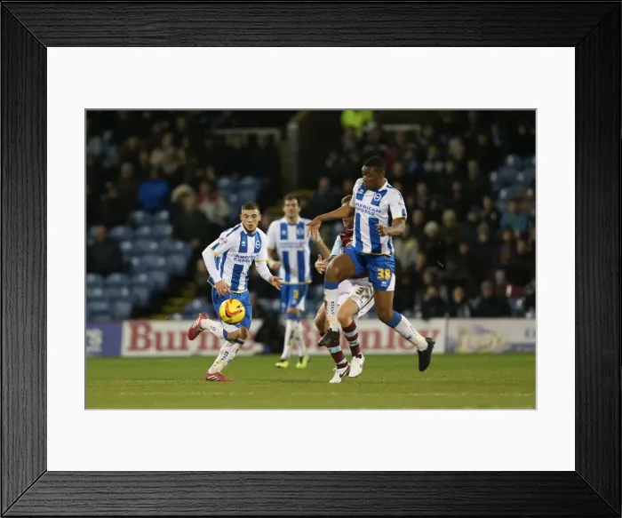 Framed Print : Brighton & Hove Albion vs. Burnley - Away Game (28-01-2014)