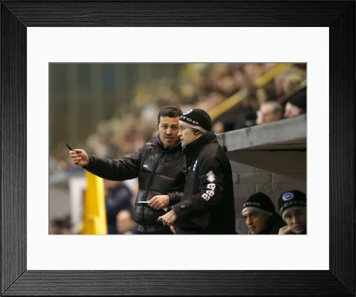 Framed Print : Brighton & Hove Albion vs. Burnley - 28-01-2014: Away Game, 2013-14 Season Framed Print : Brighton & Hove Albion vs. Burnley - 28-01-2014: Away Game, 2013-14 Season