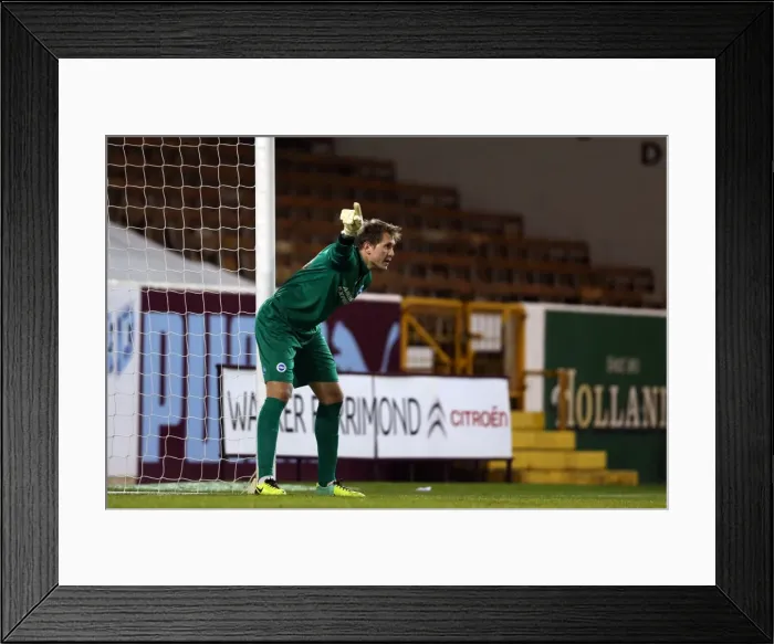 Framed Print : Brighton & Hove Albion vs. Burnley - 28-01-2014: Away Game, 2013-14 Season