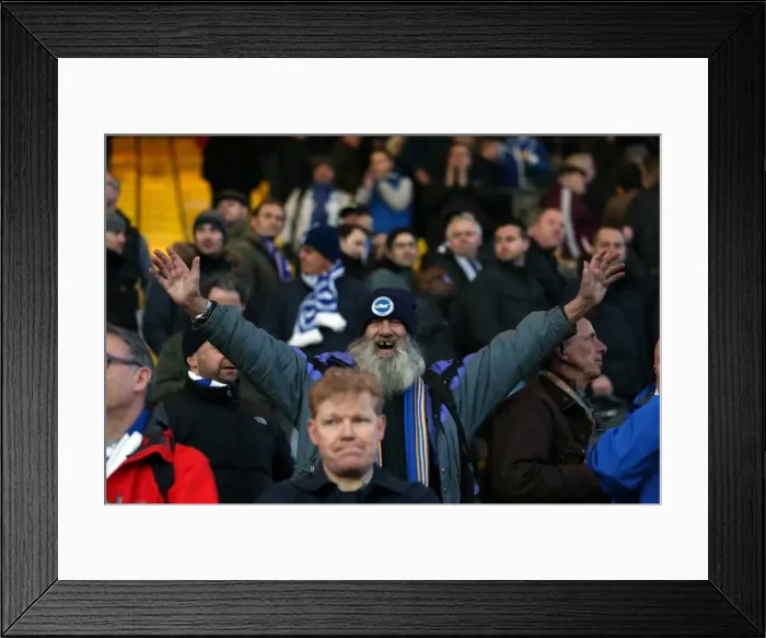 Framed Print : Brighton & Hove Albion vs. Watford FC: 2013-14 Away Game (February 2, 2014) Framed Print : Brighton & Hove Albion vs. Watford FC: 2013-14 Away Game (February 2, 2014)