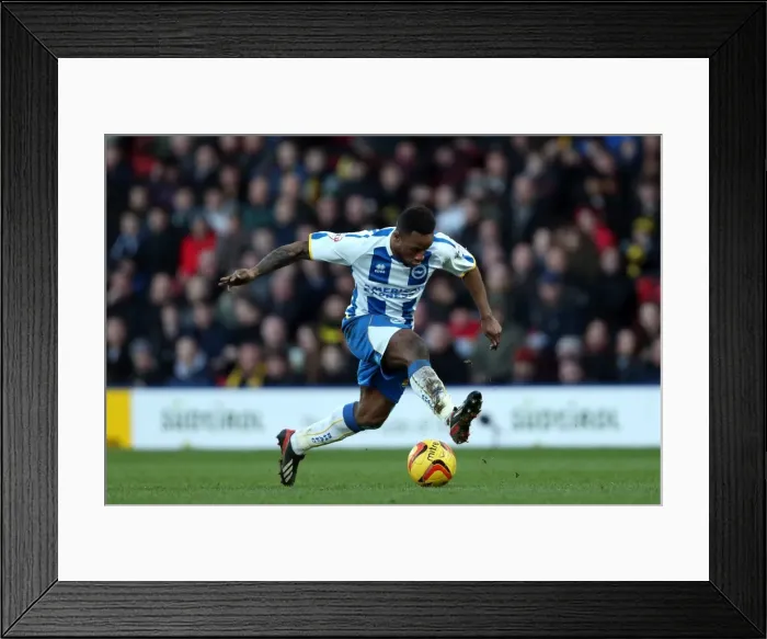 Framed Print : Brighton & Hove Albion vs. Watford FC - 02-02-2014: Away Game in the 2013-14 Season Framed Print : Brighton & Hove Albion vs. Watford FC - 02-02-2014: Away Game in the 2013-14 Season