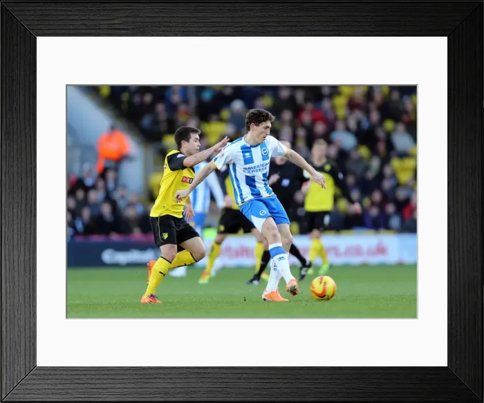 Framed Print : Brighton & Hove Albion vs. Watford FC - 02-02-2014: Away Game in the 2013-14 Season Framed Print : Brighton & Hove Albion vs. Watford FC - 02-02-2014: Away Game in the 2013-14 Season