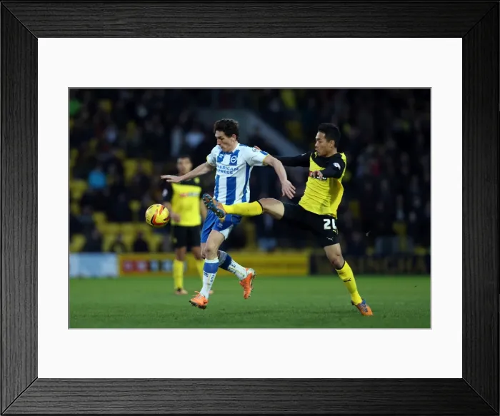 Framed Print : Brighton & Hove Albion vs. Watford FC - 02-02-2014: Away Game in the 2013-14 Season Framed Print : Brighton & Hove Albion vs. Watford FC - 02-02-2014: Away Game in the 2013-14 Season