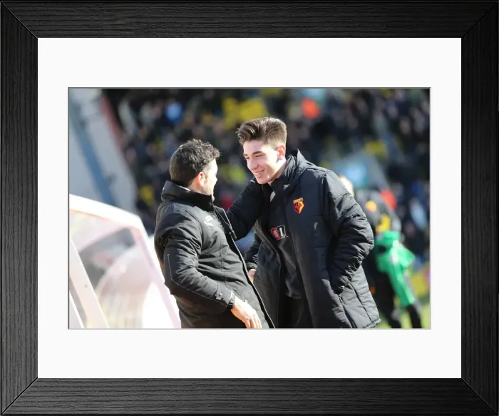 Framed Print : Brighton & Hove Albion vs. Watford FC - 02-02-2014: Away Game, 2013-14 Season