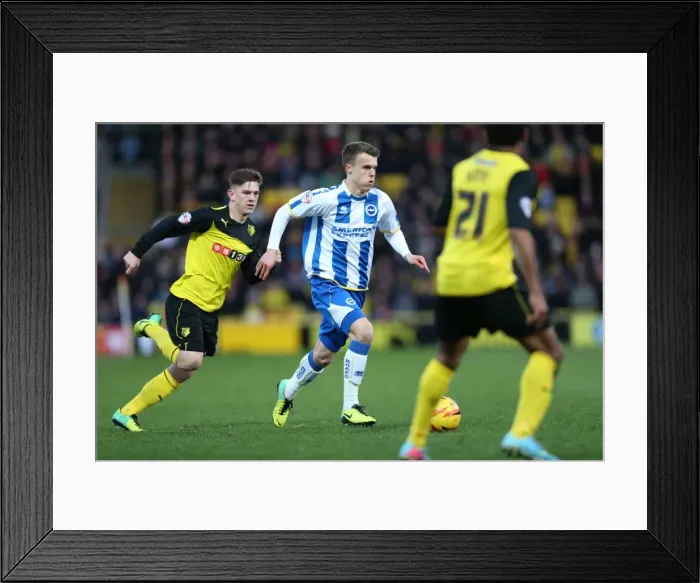 Framed Print : Brighton & Hove Albion vs. Watford FC - 02-02-2014: Away Game, 2013-14 Season