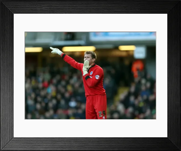 Framed Print : Brighton & Hove Albion vs. Watford FC - 02-02-2014: Away Game in the 2013-14 Season Framed Print : Brighton & Hove Albion vs. Watford FC - 02-02-2014: Away Game in the 2013-14 Season