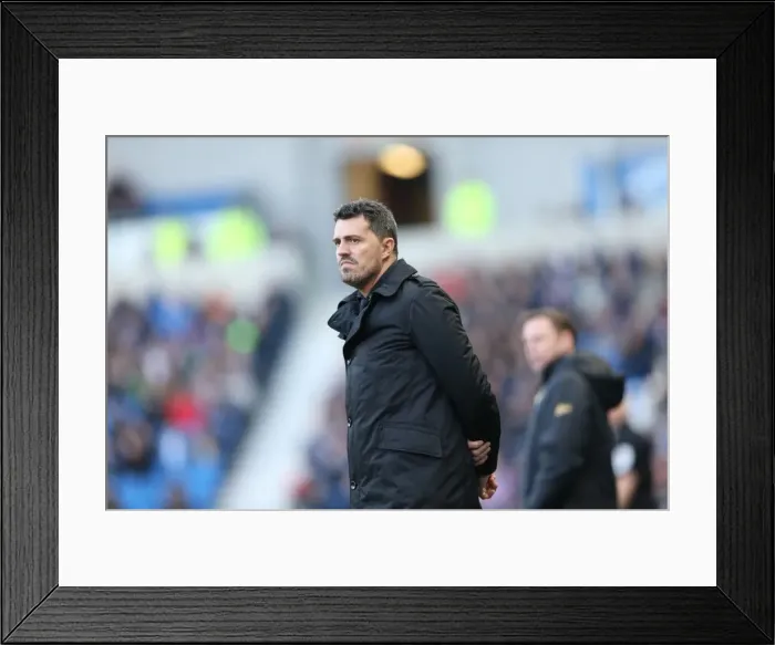 Framed Print : Brighton & Hove Albion vs Doncaster Rovers (08-02-2014): A Home Game from the 2013-14 Season Framed Print : Brighton & Hove Albion vs Doncaster Rovers (08-02-2014): A Home Game from the 2013-14 Season