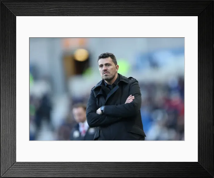 Framed Print : Brighton & Hove Albion vs Doncaster Rovers (08-02-2014): A Home Game from the 2013-14 Season Framed Print : Brighton & Hove Albion vs Doncaster Rovers (08-02-2014): A Home Game from the 2013-14 Season