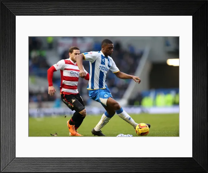 Framed Print : Brighton & Hove Albion vs Doncaster Rovers (08-02-2014): A Home Game from the 2013-14 Season