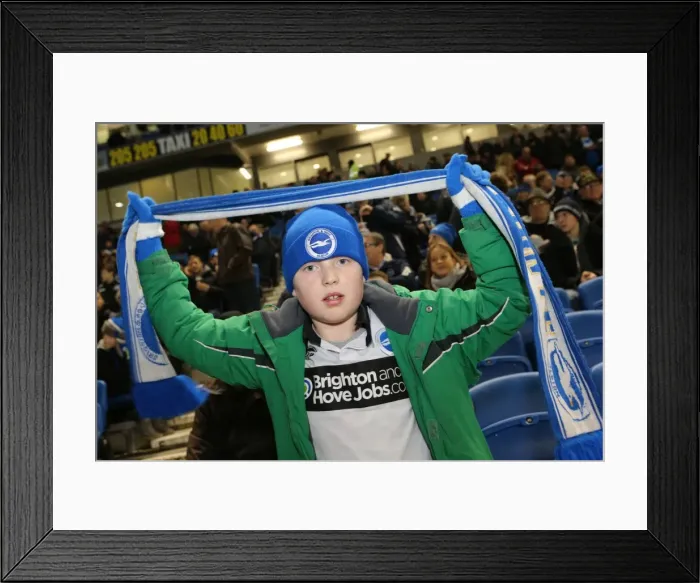 Framed Print : Brighton & Hove Albion vs. Leeds United: A Historic 11-2-2014 Home Game in the 2013-14 Season Framed Print : Brighton & Hove Albion vs. Leeds United: A Historic 11-2-2014 Home Game in the 2013-14 Season