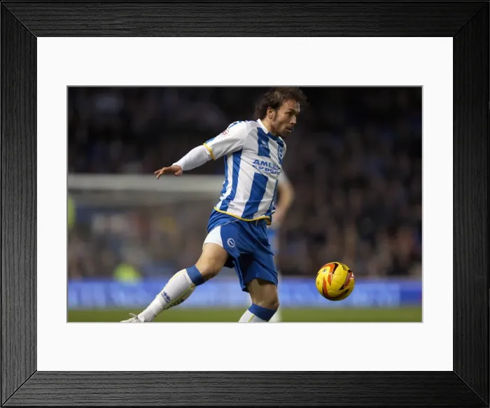 Framed Print : Brighton & Hove Albion vs. Leeds United: A Historic 11-2-2014 Home Game from the 2013-14 Season Framed Print : Brighton & Hove Albion vs. Leeds United: A Historic 11-2-2014 Home Game from the 2013-14 Season