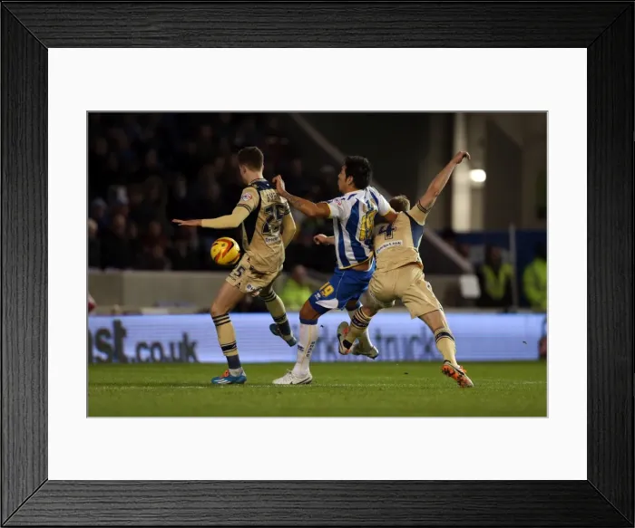 Framed Print : Brighton & Hove Albion vs. Leeds United: 11-02-2014 (Score: 0-6 in favor of Brighton & Hove Albion) Framed Print : Brighton & Hove Albion vs. Leeds United: 11-02-2014 (Score: 0-6 in favor of Brighton & Hove Albion)