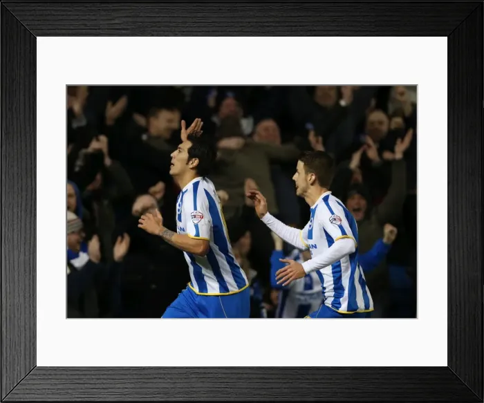 Framed Print : Brighton & Hove Albion vs. Leeds United: A Historic 11-2-2014 Home Game from the 2013-14 Season Framed Print : Brighton & Hove Albion vs. Leeds United: A Historic 11-2-2014 Home Game from the 2013-14 Season