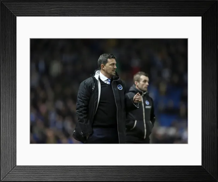 Framed Print : Brighton & Hove Albion vs Leeds United: A Historic 11-2-2014 Home Game from the 2013-14 Season Framed Print : Brighton & Hove Albion vs Leeds United: A Historic 11-2-2014 Home Game from the 2013-14 Season