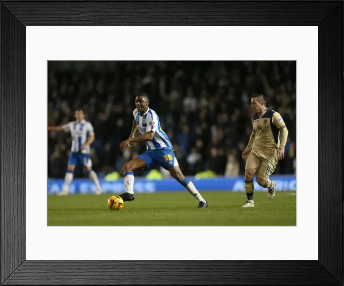 Framed Print : Brighton & Hove Albion vs. Leeds United: A Historic 11-2-2014 Home Game from the 2013-14 Season Framed Print : Brighton & Hove Albion vs. Leeds United: A Historic 11-2-2014 Home Game from the 2013-14 Season
