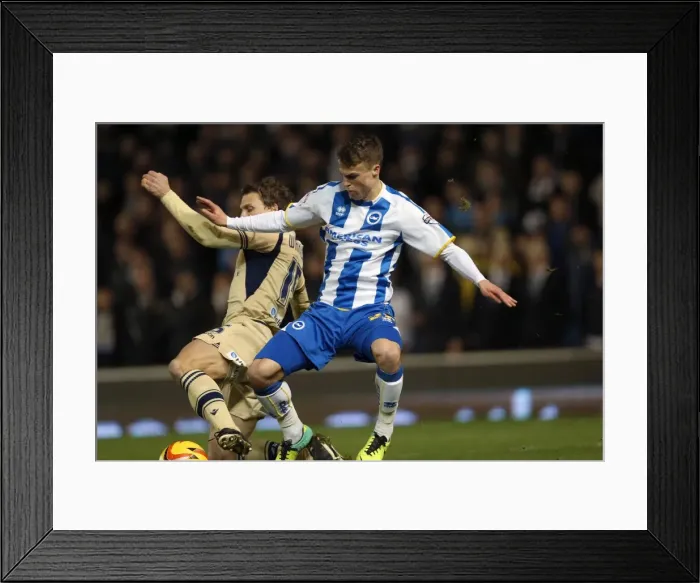 Framed Print : Brighton & Hove Albion vs. Leeds United: A Historic 11-2-2014 Home Game from the 2013-14 Season Framed Print : Brighton & Hove Albion vs. Leeds United: A Historic 11-2-2014 Home Game from the 2013-14 Season
