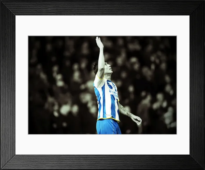 Framed Print : Brighton & Hove Albion vs. Leeds United: A Historic 11-2-2014 Home Game Framed Print : Brighton & Hove Albion vs. Leeds United: A Historic 11-2-2014 Home Game