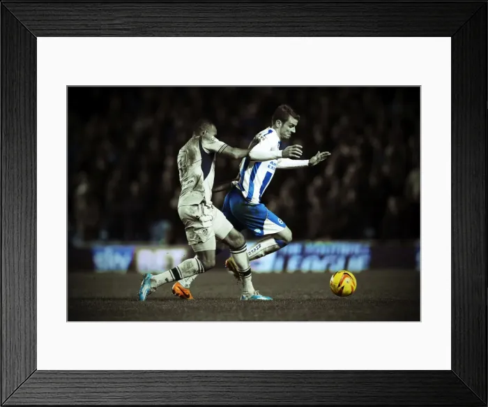 Framed Print : Brighton & Hove Albion vs. Leeds United: A Historic 11-2-2014 Home Game