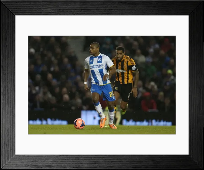 Framed Print : Brighton & Hove Albion vs. Hull City: 2013-14 Season Home Game Framed Print : Brighton & Hove Albion vs. Hull City: 2013-14 Season Home Game
