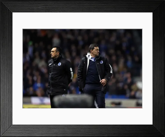Framed Print : Brighton & Hove Albion vs. Hull City: 2013-14 Season Home Game Framed Print : Brighton & Hove Albion vs. Hull City: 2013-14 Season Home Game
