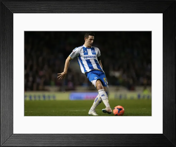 Framed Print : Brighton & Hove Albion vs. Hull City: 2013-14 Season Home Game
