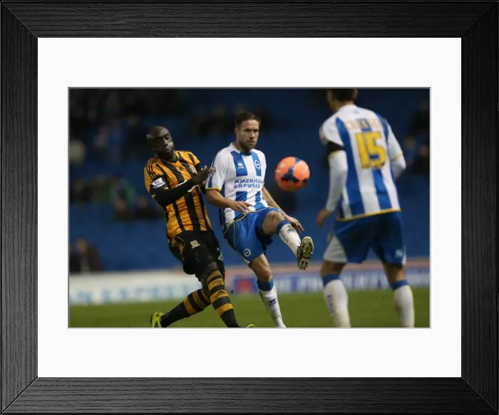 Framed Print : Brighton & Hove Albion vs. Hull City: 2013-14 Season Home Game Framed Print : Brighton & Hove Albion vs. Hull City: 2013-14 Season Home Game