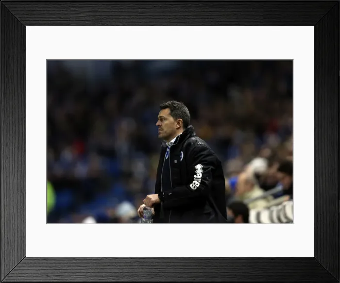 Framed Print : Brighton & Hove Albion vs. Hull City: 2013-14 Season Home Game Framed Print : Brighton & Hove Albion vs. Hull City: 2013-14 Season Home Game