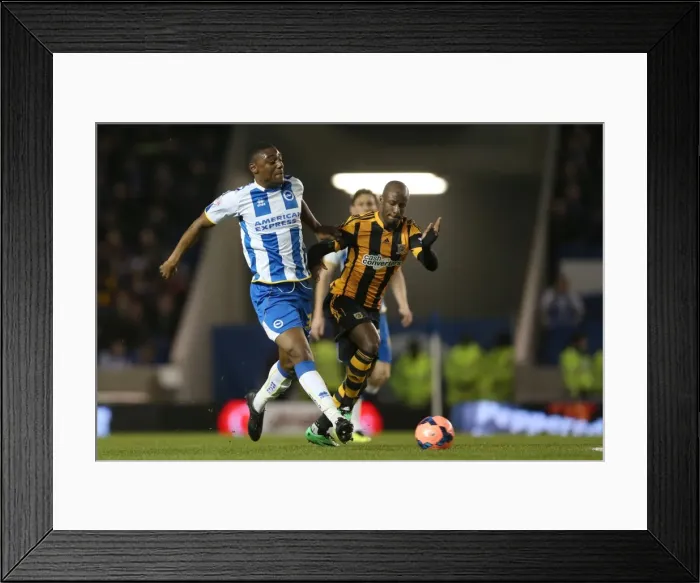 Framed Print : Brighton & Hove Albion vs. Hull City: 2013-14 Season Home Game Framed Print : Brighton & Hove Albion vs. Hull City: 2013-14 Season Home Game