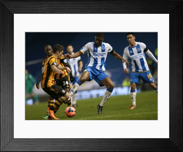 Framed Print : Brighton & Hove Albion vs. Hull City: 2013-14 Season Home Game Framed Print : Brighton & Hove Albion vs. Hull City: 2013-14 Season Home Game