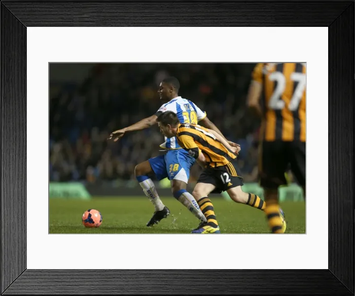 Framed Print : Brighton & Hove Albion vs. Hull City: 2013-14 Season Home Game Framed Print : Brighton & Hove Albion vs. Hull City: 2013-14 Season Home Game
